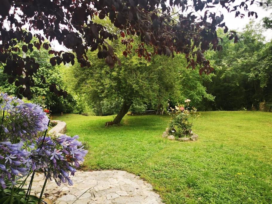 La Flor de Toranzo Vive los Valles Pasiegos Prases Exterior foto