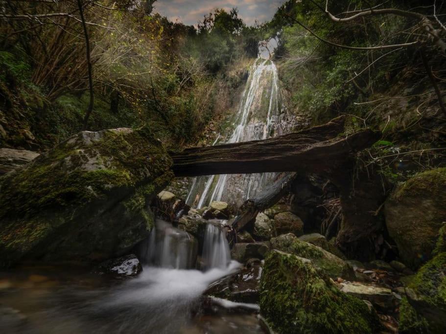 La Flor de Toranzo Vive los Valles Pasiegos Prases Exterior foto